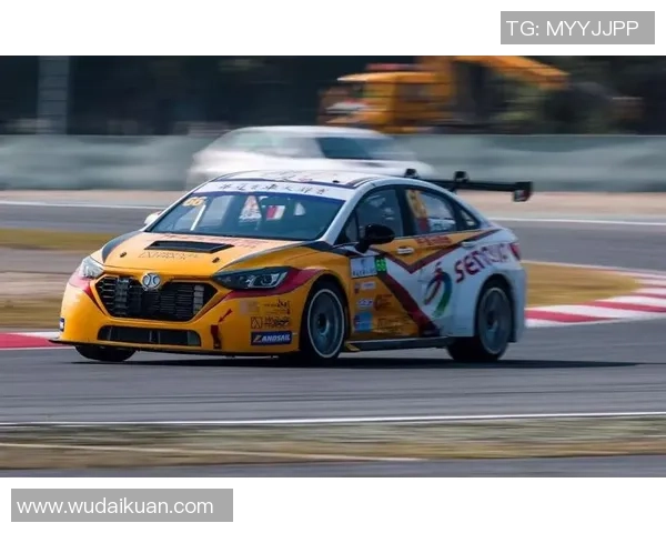 上海足球队以54分领跑欧锦赛积分榜展现强劲实力