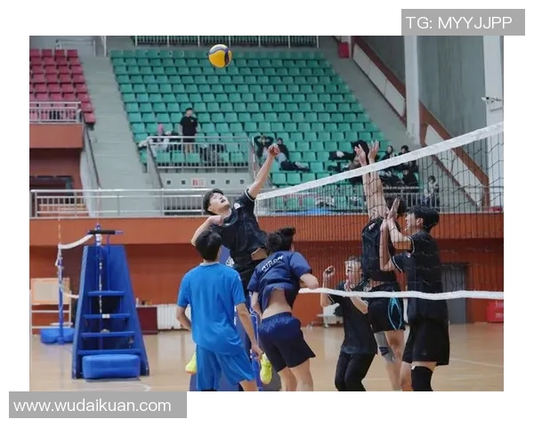 南京排球队在全国排球团队协作排行榜中荣获第七名的佳绩