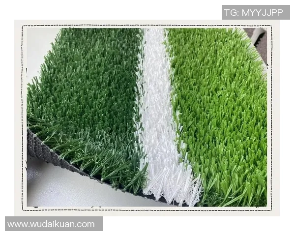 足球场地全解析从草坪类型到场地尺寸的全面介绍