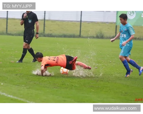 足球平音的魅力探索与技巧分享让你轻松掌握这项全球运动的精髓