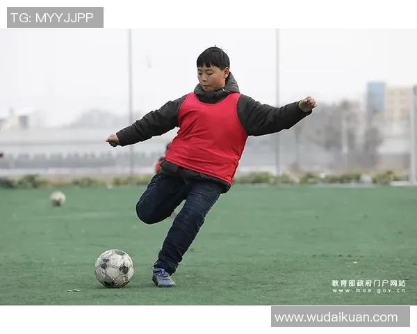 轻松动手做简易足球教你如何用简单材料打造属于自己的运动乐趣 轻松动手做简易足球教你如何用简单材料打造属于自己的运动乐趣